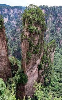 哪里能看张家界吃瓜视频,网红吃瓜视频背后的美食之旅