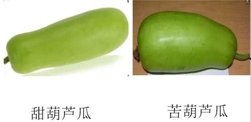 发视频吃瓜,揭秘网络视频中的吃瓜文化现象