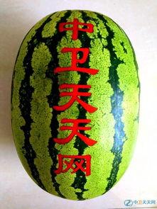 硒砂瓜为什么很耐吃呢视频,营养与口感的双重魅力