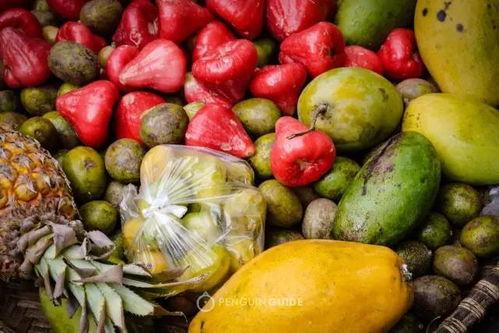 蒙自吃瓜视频,一场别开生面的夏日盛宴