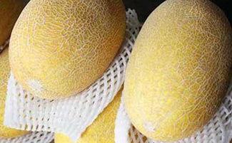 哈密瓜能切几片吃吗视频,揭秘哈密瓜切片新技巧