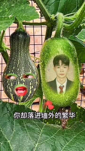 吃瓜视频用的特效在哪里,独家揭秘幕后技术奥秘