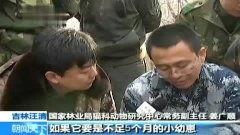 热门吃瓜话题视频大全,揭秘热门吃瓜话题视频大盘点