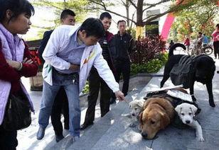 卖狗小伙吃瓜视频,吃瓜视频引发网友热议