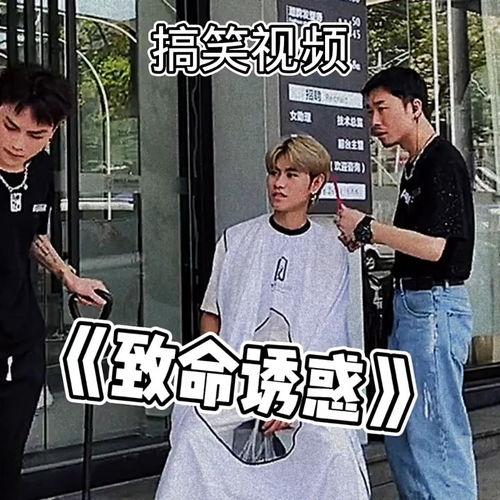 吃瓜群众动态视频大全集,笑料百出，欢乐无限