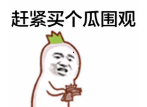 视频号个人简介吃瓜群众,吃瓜群众眼中的瓜界风云