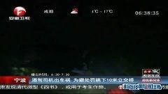 吃瓜群热门视频大全最新