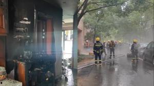 围观吃瓜动画视频