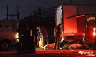 河间吃瓜事件视频播放在线观看,视频直播全程回顾，揭秘事件真相