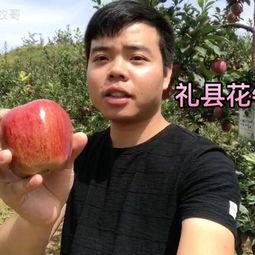 最牛的吃瓜哥视频大全集,揭秘娱乐圈幕后真相，视频大全集深度解析