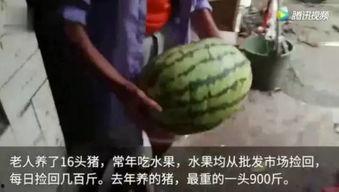 看视频吃瓜,一网打尽娱乐圈新鲜事
