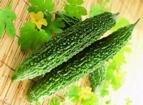 三个人吃角瓜好吗视频,角瓜美食视频大赏