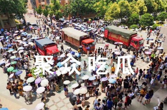 云南高校近期吃瓜视频,校园生活趣味横生，揭秘校园新鲜事