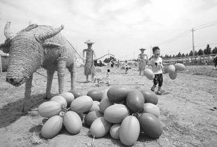 武陟吃瓜事件视频,一场网络热议的真相揭秘