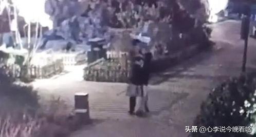 吃瓜比赛视频完整版免费观看,揭秘吃瓜比赛视频完整版免费观看的精彩瞬间