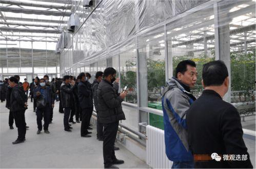 兰州新区吃瓜事件视频最新